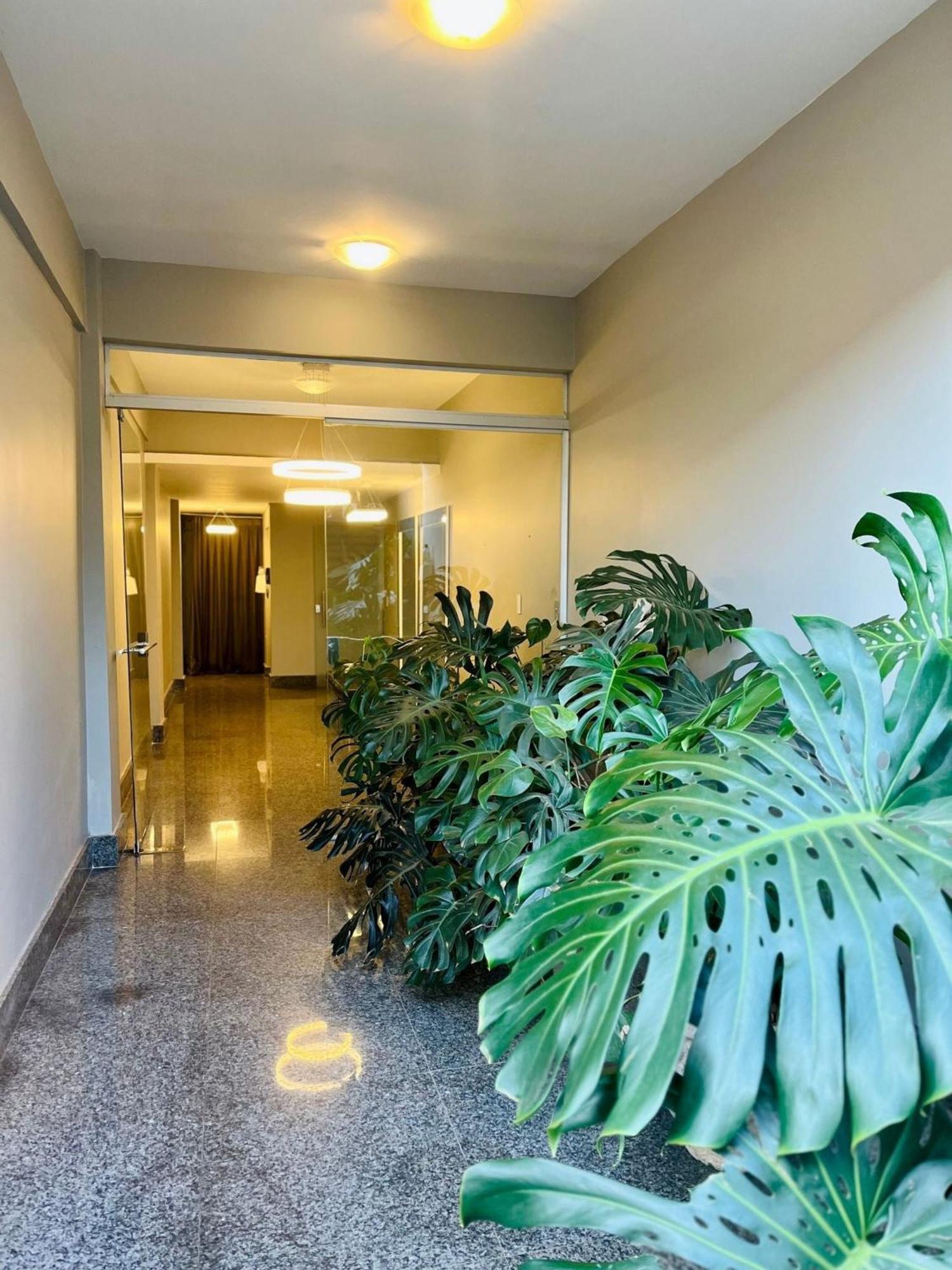 Lk Grajau 4 Lägenhet Belo Horizonte Exteriör bild